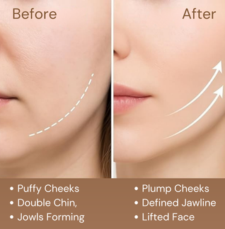 Lymphatic Facial Contour Brush
